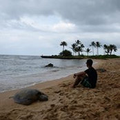 Harry Bahia's photo