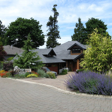 West Coast contemporary front yard