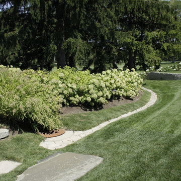 Full Landscape with Patio, Outdoor Kitchen, Stone Driveway and Planting