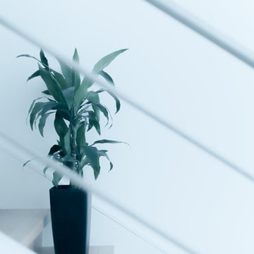 Plantes d'intérieur