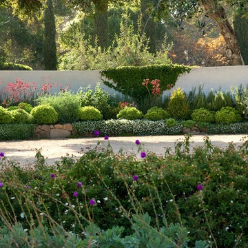 Mediterranean Landscape