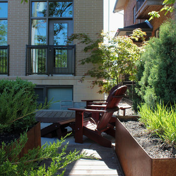 Front Yard 18