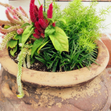 Annuals and Containers