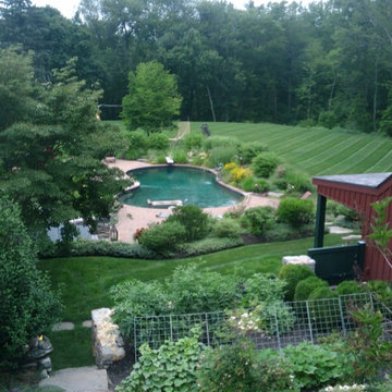 Country Pool Makeover