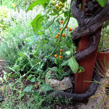 Low Water Cottage Garden