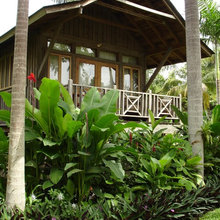 jp's backyard