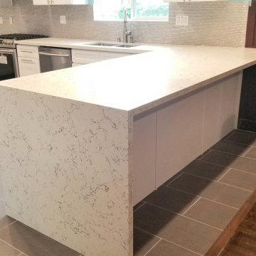 2 MONTHS!! Complete Kitchen Renovation