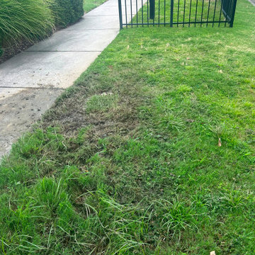 Complete Landscape & Hardscape Enhancement