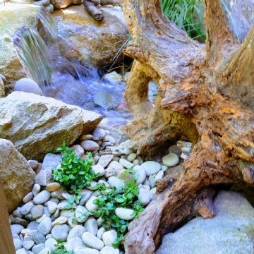 Ponds and Streams
