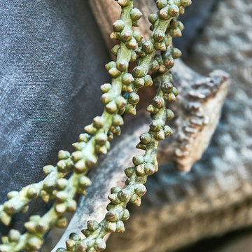 Munkhus Blomsterbinderi