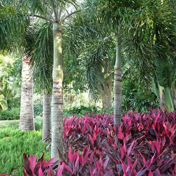 Collectors Garden