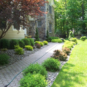 Assorted Plantings