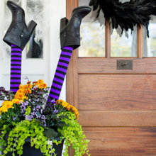 Holiday Decor