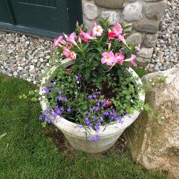 Seasonal Container Plantings & Changeovers