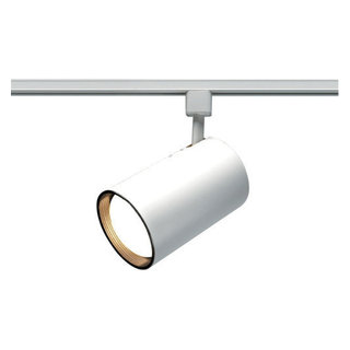 1 Light CFL R30 Straight Cylinder Track Head - Transitional - Track ...