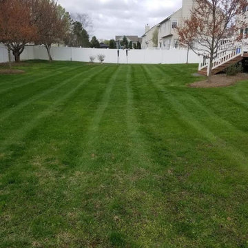 Fence Installation