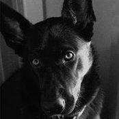 Jon Roberts's photo