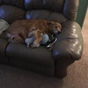 DavidnTraci McAbee's photo