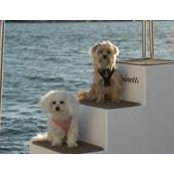 Trina Cole's photo