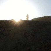 Stephen Adler's photo