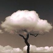 Foto de Thomas Payen
