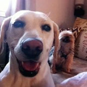 Emy Coligado's photo