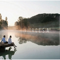 VITROCSA - панорамное остекление
