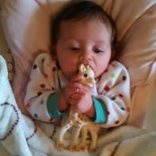 Laura Ghahramani's photo