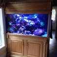 Aquatic Art Technologies, LLC's profile photo