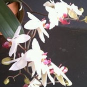 Foto von Terri Boehm