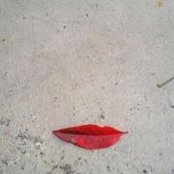 Photo de Asp Kml