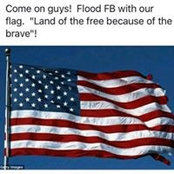 Frank Chapman's photo