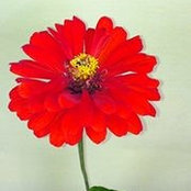 Elizabeth Coe's photo