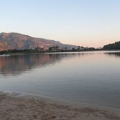 Carol Cape's photo