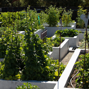 The Escher-Stella Garden