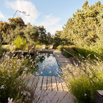 JARDÍN LIBRE EN LAS ROZAS