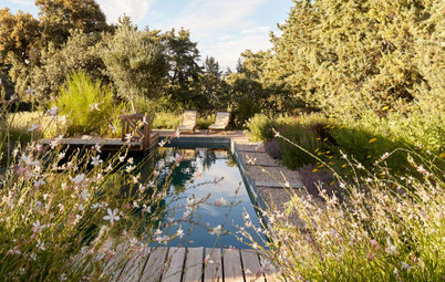 Yard of the Week: Low-Water Landscape With a Natural Pool