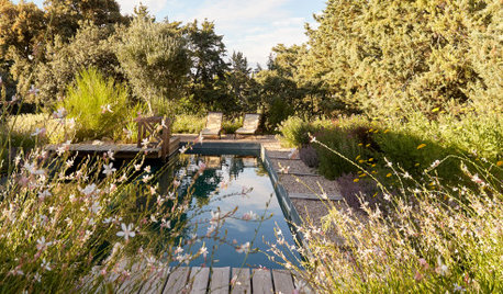 En Madrid, un jardín natural, biodiverso y sostenible