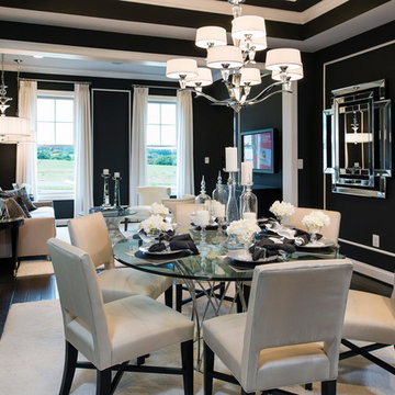 Cabin Branch Seattle Model Home, Maryland