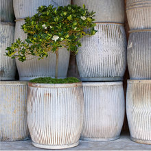 decorative ascents