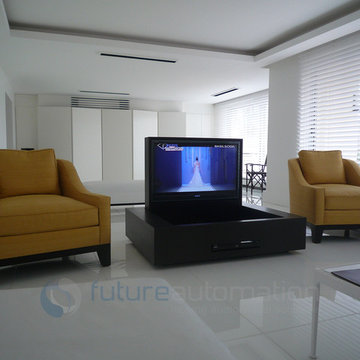 Future Automaton Hinge Up TV Lift
