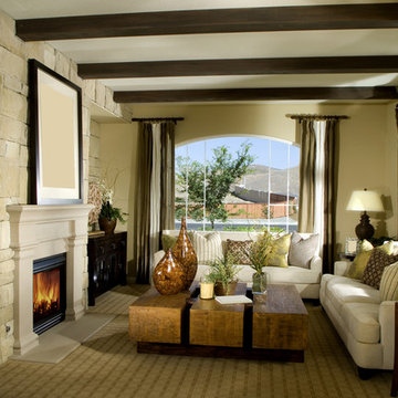Contemporary Living Room