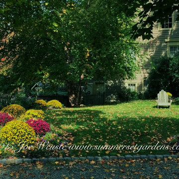 NY Front Yard Planting with Mums in Autumn