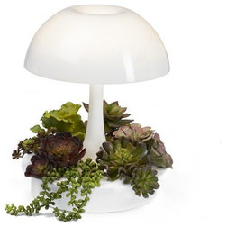 Modern Table Lamps by sagegreenlife