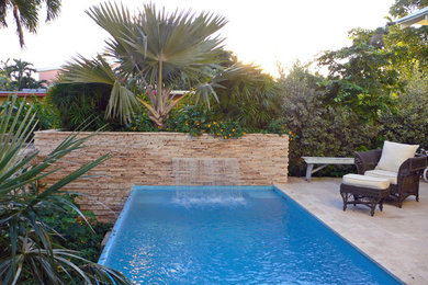 Example of an island style pool design in Miami