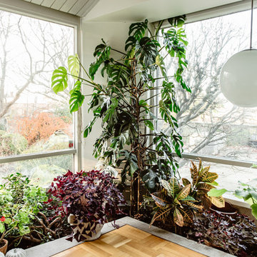 Houzz Tour | Svante Öquist