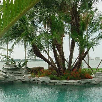 Tropical, Natural Free Form Pool & Landscape Design and Build