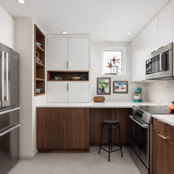 Kerrytown Historic Condominium Kitchen and Bathroom Remodel