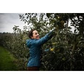 Heather Hands's photo