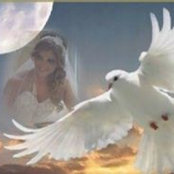 Nada Karim's photo